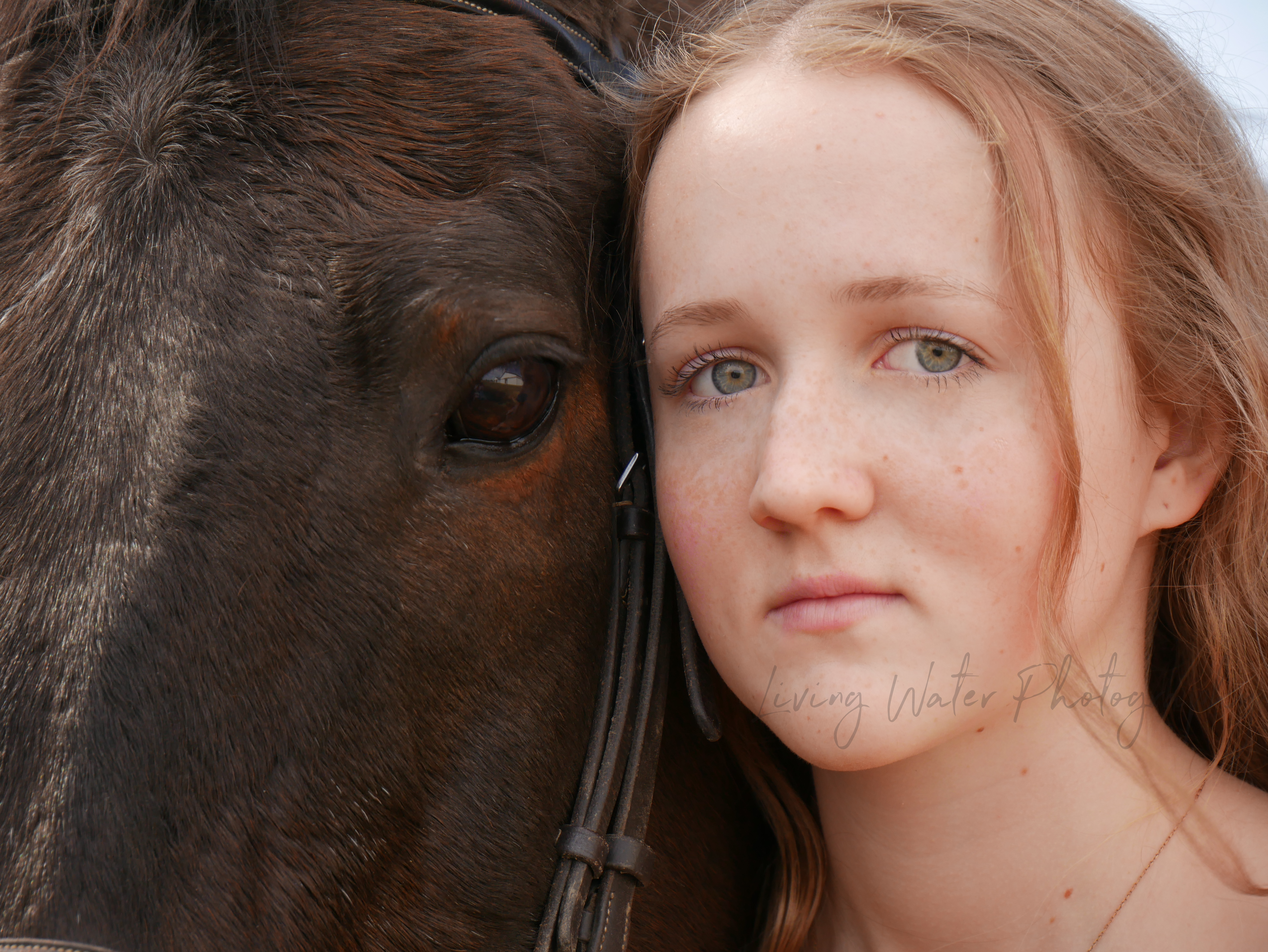 Close portrait of young woman cheek-to-cheek with a dark horse